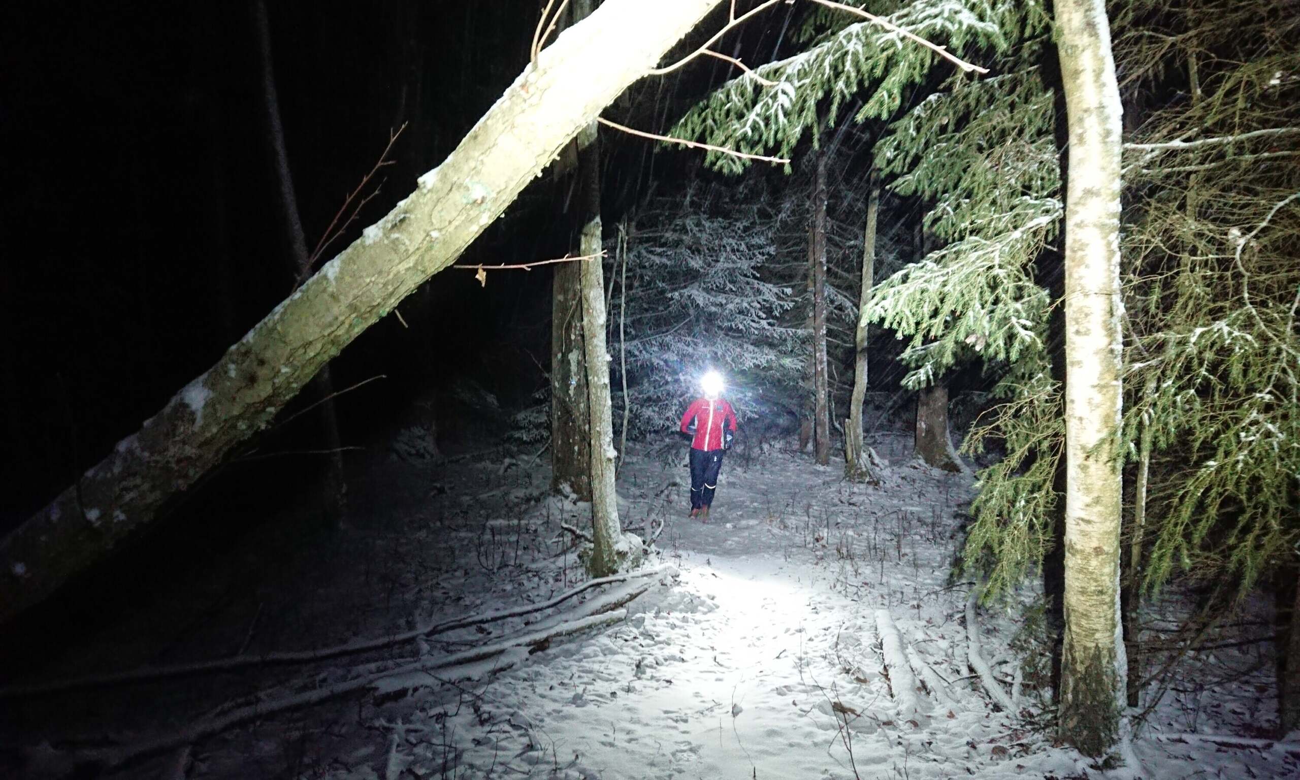 NocOut-löpare i skogen utanför Slaka