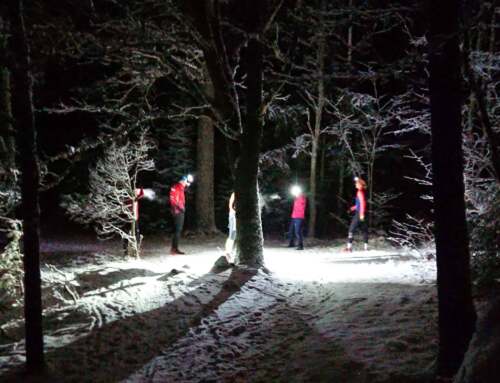 Pannlampspassen gör comeback