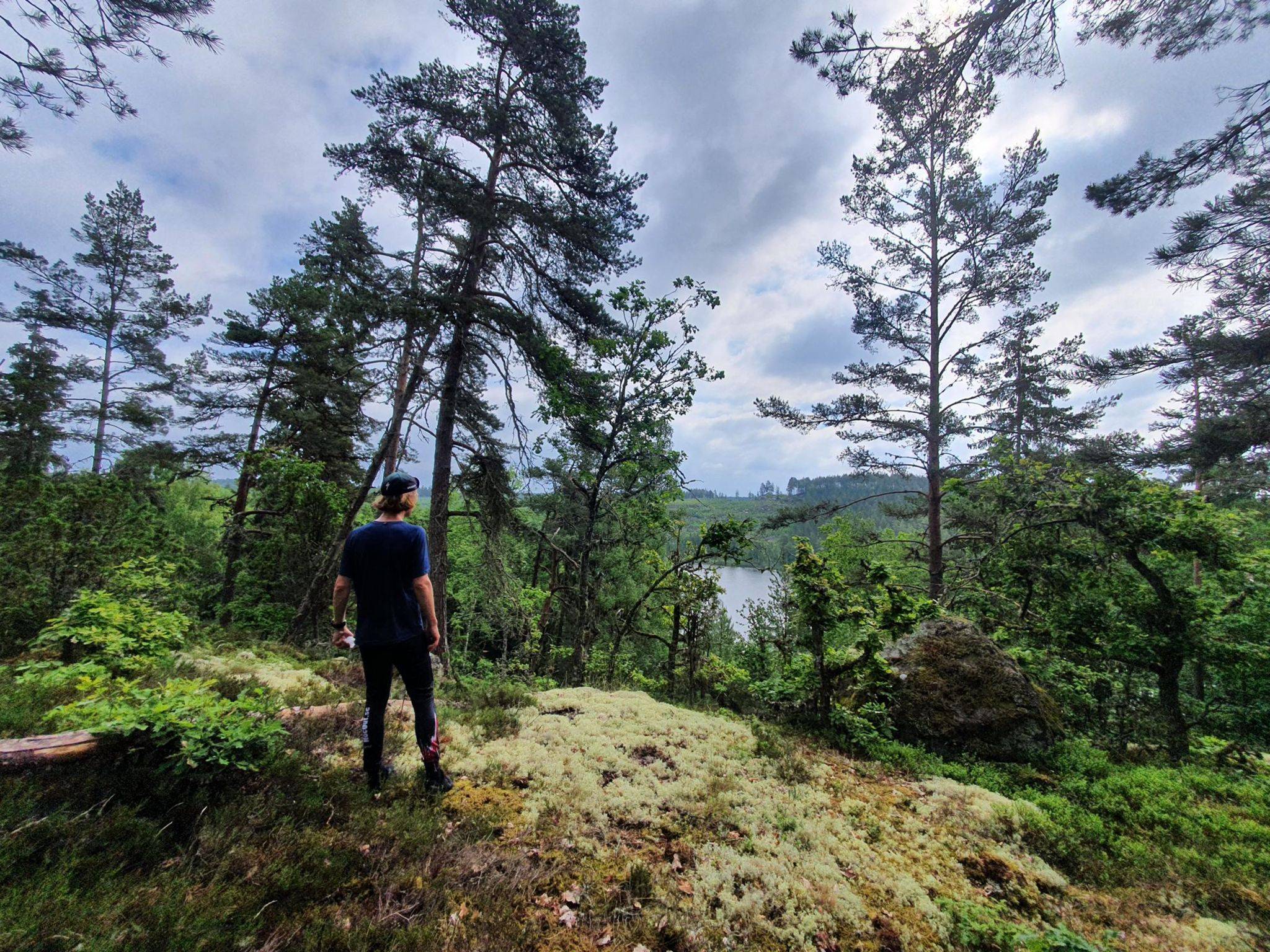 trail; rimforsa; mattias danielsson; skog; stig