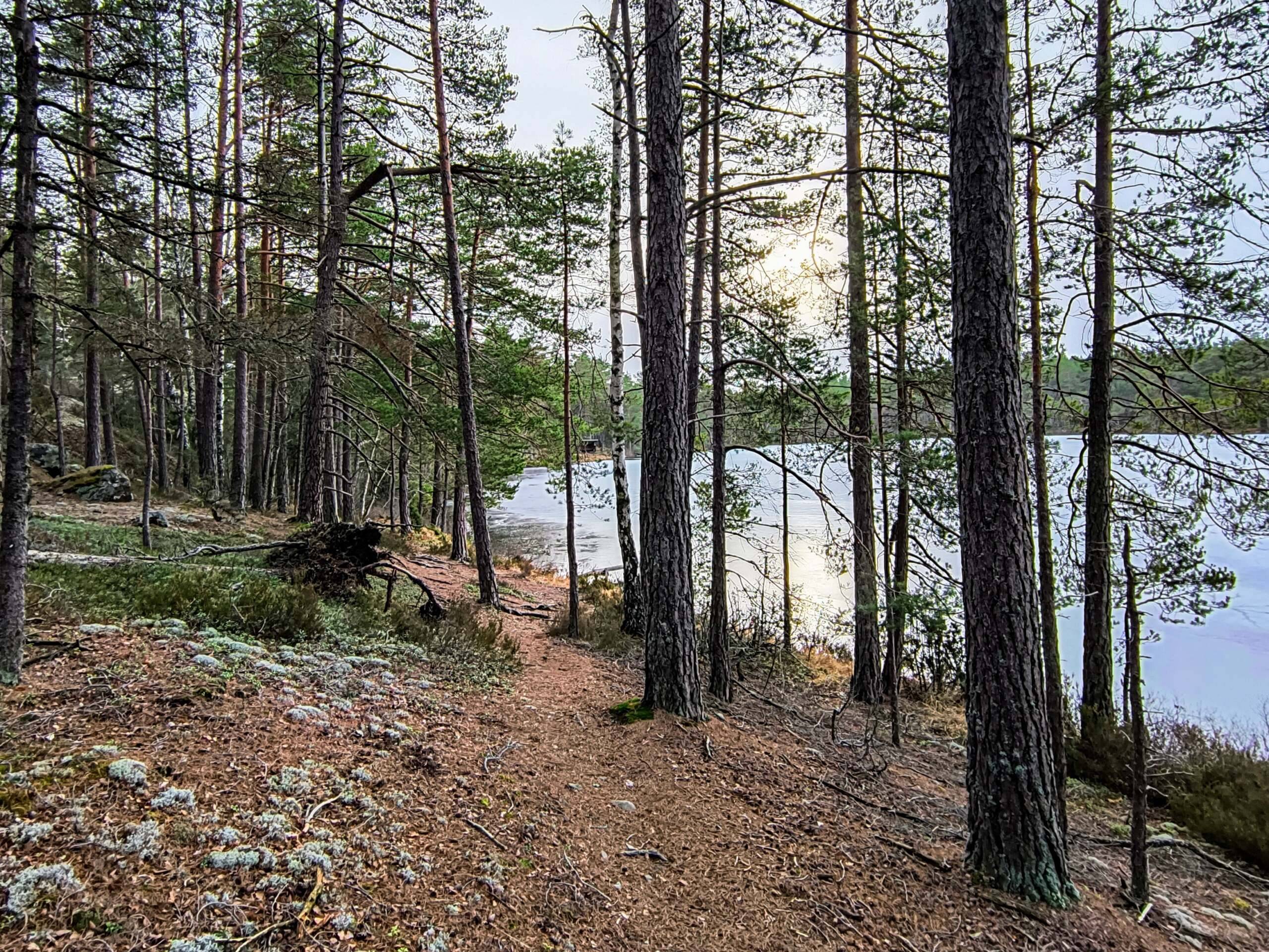 Löpning - trailutflykt