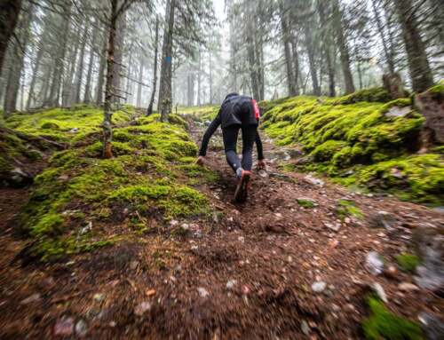 Häng med på vårens löparresa!